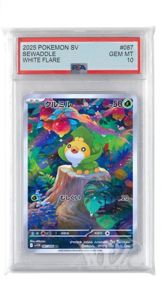 画像1: [PSA10]クルミル【AR】〈087/086〉(草) (1)