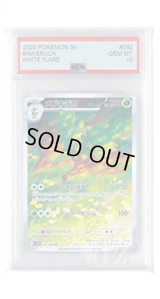 画像1: [PSA10]メブキジカ【AR】〈092/086〉(草) (1)