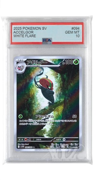 画像1: [PSA10]アギルダー【AR】〈094/086〉(草) (1)