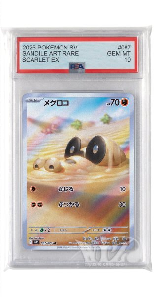 画像1: [PSA10]メグロコ【AR】〈087/078〉(闘) (1)