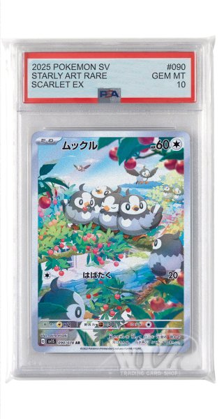 画像1: [PSA10]ムックル【AR】〈090/078〉(無) (1)
