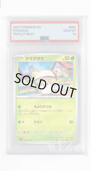 画像1: [PSA10]タマゲタケ【C】〈002/073〉(草) (1)
