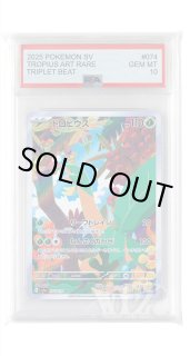 PSA AR商品 - カードショップWiZ
