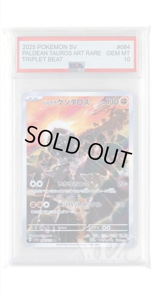 画像1: [PSA10]パルデアケンタロス【AR】〈084/073〉(闘) (1)