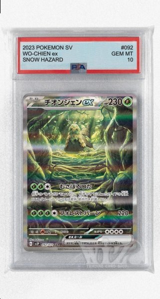 画像1: [PSA10]チオンジェンex【SAR】〈092/071〉(草) (1)