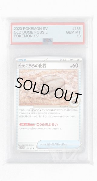 画像1: [PSA10]古びたこうらの化石【C】〈155/165〉 (1)