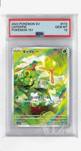 画像1: [PSA10]キャタピー【AR】〈172/165〉 (1)
