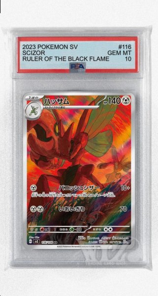 画像1: [PSA10]ハッサム【AR】〈116/108〉(鋼) (1)