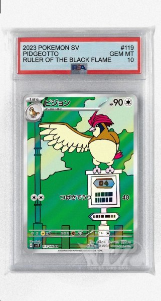 画像1: [PSA10]ピジョン【AR】〈119/108〉(無) (1)