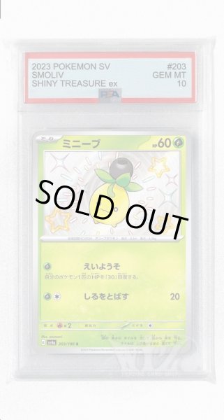画像1: [PSA10]ミニーブ【S】〈203/190〉 (1)