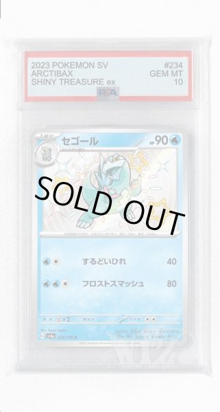 画像1: [PSA10]セゴール【S】〈234/190〉 (1)