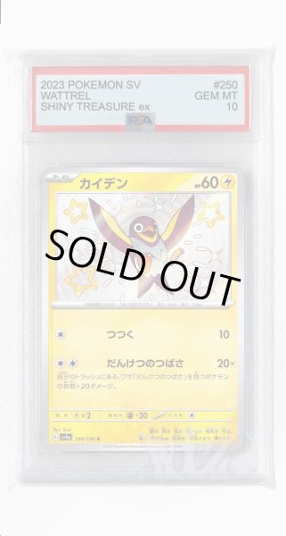 画像1: [PSA10]カイデン【S】〈250/190〉 (1)