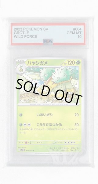 画像1: [PSA10]ハヤシガメ【C】〈004/071〉(草) (1)