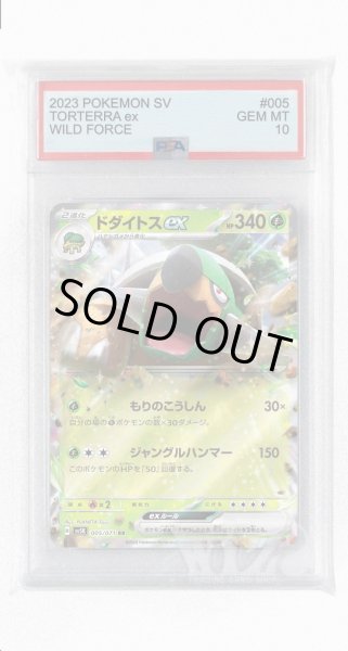 画像1: [PSA10]ドダイトスex【RR】〈005/071〉(草) (1)