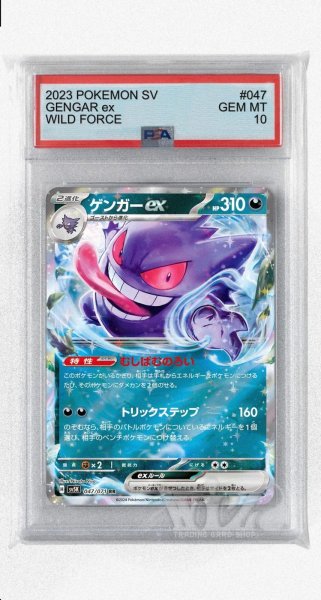 画像1: [PSA10]ゲンガーex【RR】〈047/071〉(悪) (1)