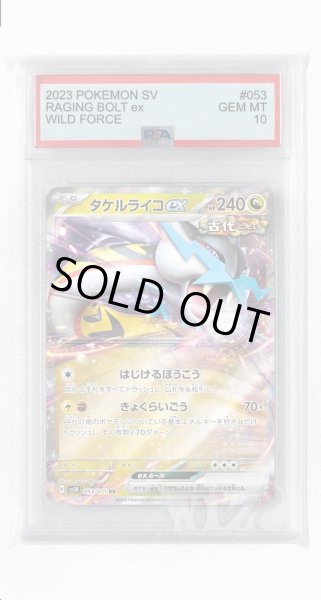 画像1: [PSA10]タケルライコex【RR】〈053/071〉(竜) (1)