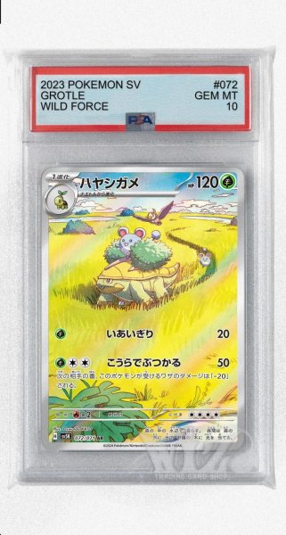 画像1: [PSA10]ハヤシガメ【AR】〈072/071〉(草) (1)