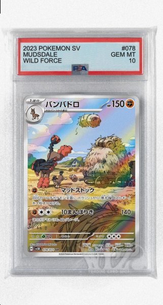 画像1: [PSA10]バンバドロ【AR】〈078/071〉(闘) (1)