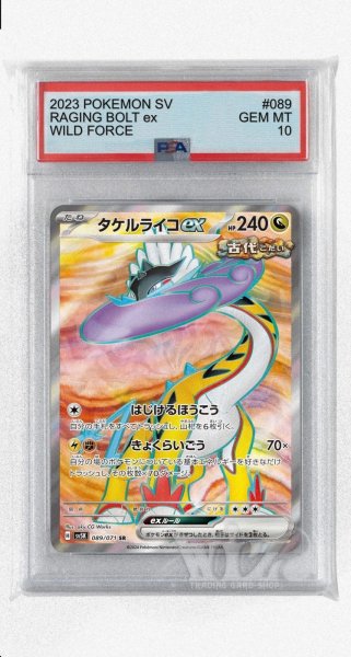 画像1: [PSA10]タケルライコex【SR】〈089/071〉(竜) (1)