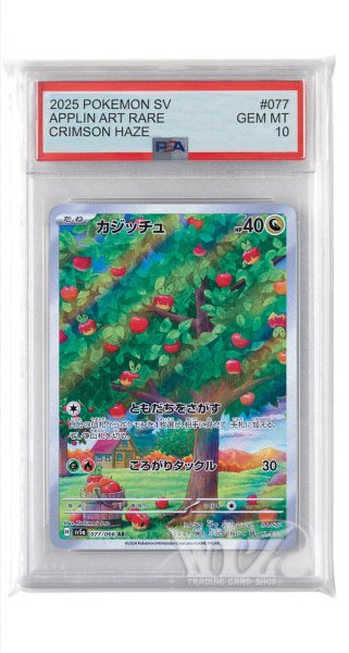 画像1: [PSA10]カジッチュ【AR】〈077/066〉(竜) (1)