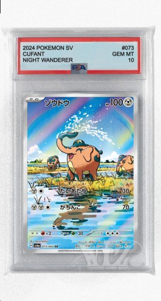 画像1: [PSA10]ゾウドウ【AR】〈073/064〉(鋼) (1)