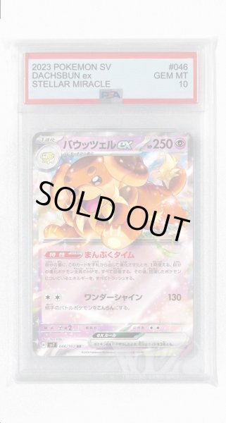 画像1: [PSA10]バウッツェルex【RR】〈046/102〉(超) (1)