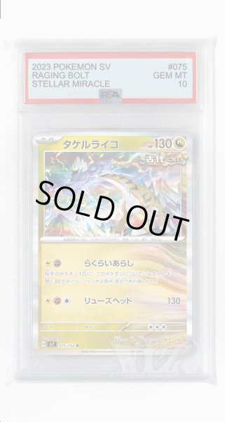 画像1: [PSA10]タケルライコ【R】〈075/102〉(竜) (1)