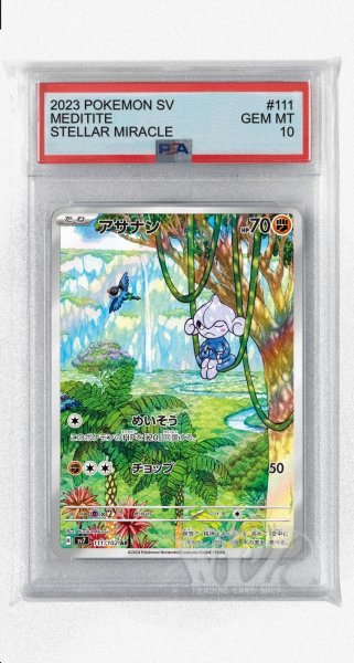 画像1: [PSA10]アサナン【AR】〈111/102〉(闘) (1)
