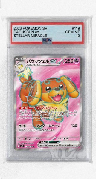 画像1: [PSA10]バウッツェルex【SR】〈119/102〉(超) (1)