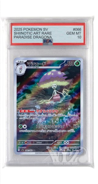 画像1: [PSA10]マシェード【AR】〈066/064〉(草) (1)
