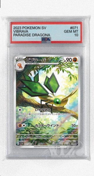 画像1: [PSA10]ビブラーバ【AR】〈071/064〉(闘) (1)