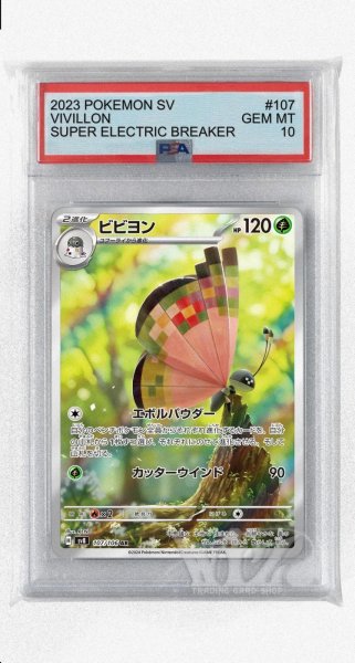 画像1: [PSA10]ビビヨン【AR】〈107/106〉(草) (1)