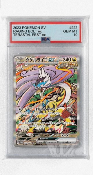 画像1: [PSA10]タケルライコex【SAR】〈222/187〉(竜) (1)