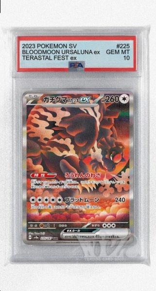 画像1: [PSA10]ガチグマアカツキex【SAR】〈225/187〉(無) (1)