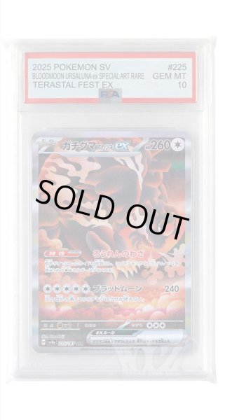 画像1: [PSA10]ガチグマアカツキex【SAR】〈225/187〉(無) (1)