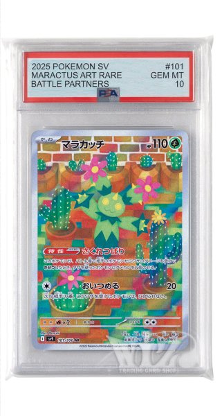 画像1: [PSA10]マラカッチ【AR】〈101/100〉(草) (1)