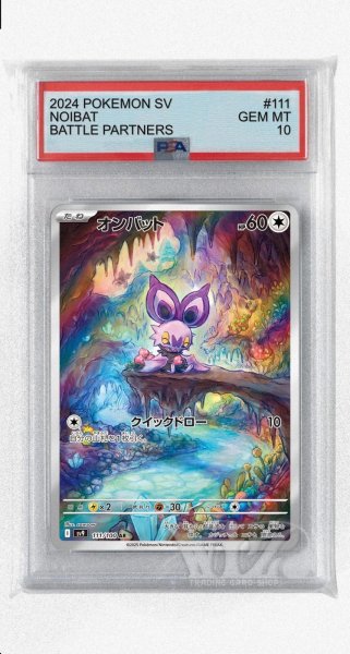 画像1: [PSA10]オンバット【AR】〈111/100〉(無) (1)