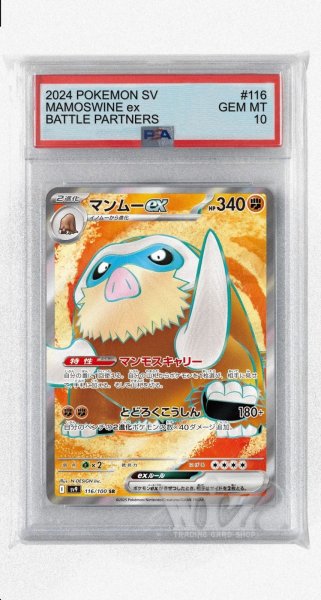 画像1: [PSA10]マンムーex【SR】〈116/100〉(闘) (1)