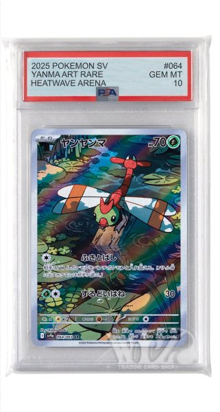 画像1: [PSA10]ヤンヤンマ【AR】〈064/063〉(草) (1)