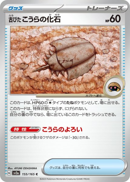 画像1: 古びたこうらの化石【C】〈155/165〉 (1)
