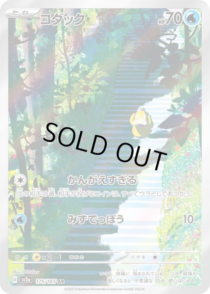 画像1: コダック【AR】〈175/165〉 (1)