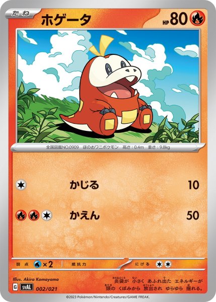 画像1: ホゲータ【-】〈002/021〉 (1)