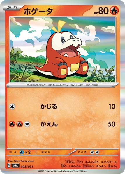 画像1: ホゲータ(R仕様）【-】〈002/021〉 (1)