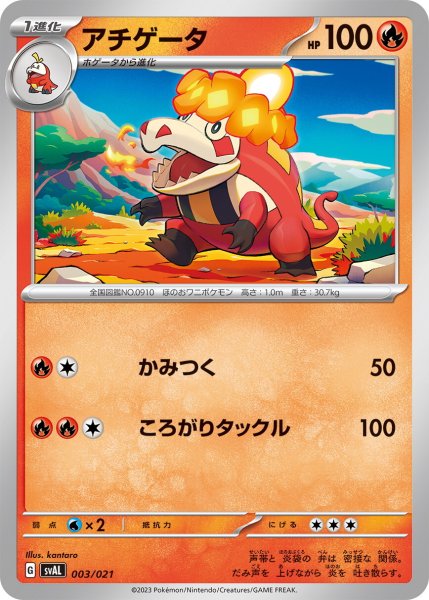 画像1: アチゲータ【-】〈003/021〉 (1)