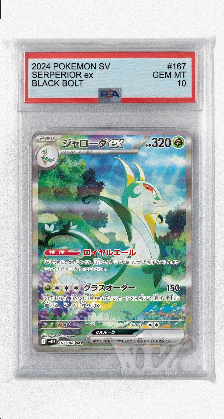 ジャローダex SAR PSA10 PSA10]ジャローダex【SAR】〈167/086〉(草) - カードショップWiZ